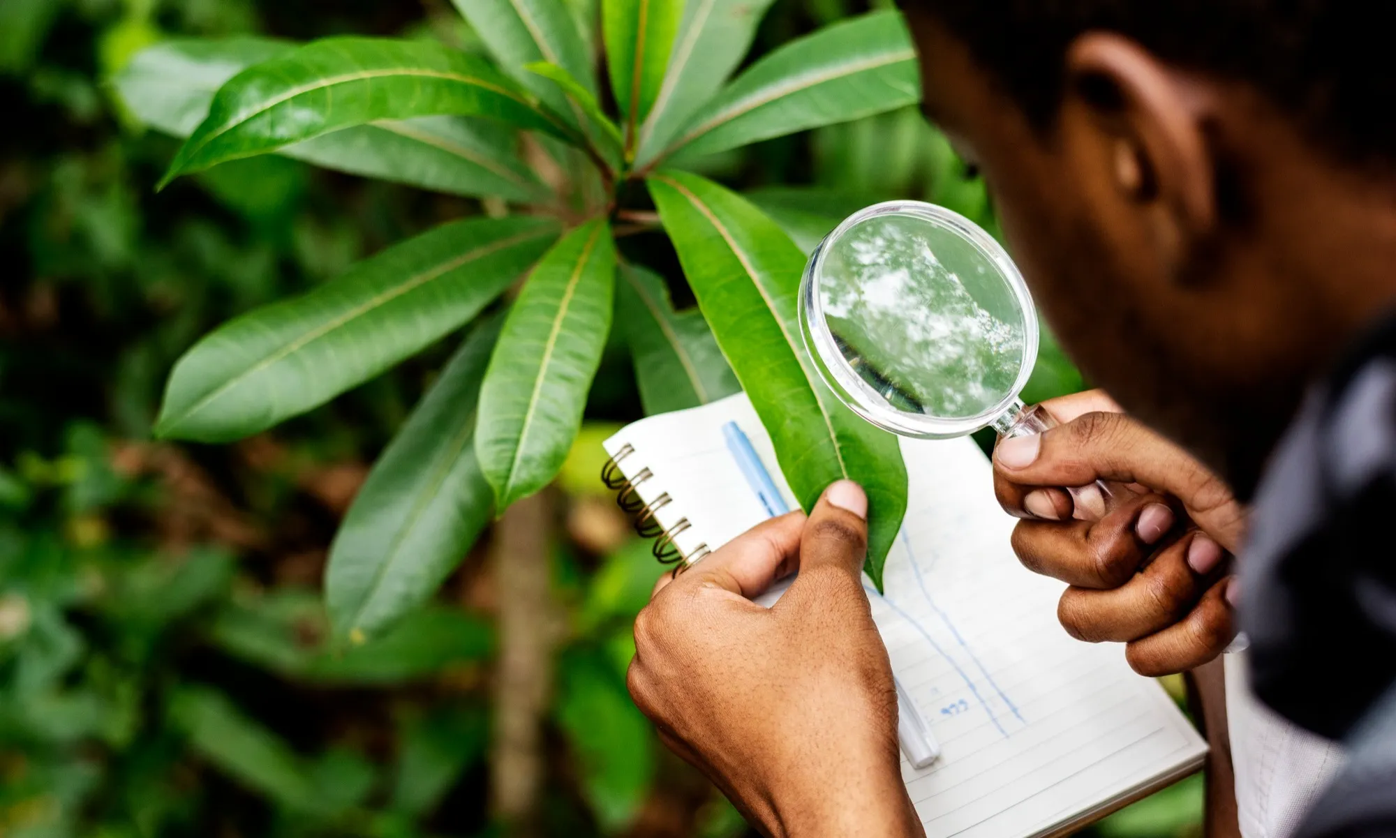 Variables bioclimatiques
