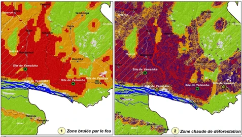 GeoTech Suivi du couvert forestier 6