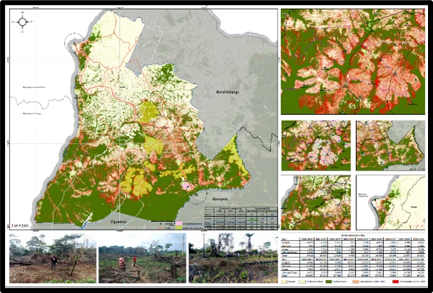 GeoTech Suivi du couvert forestier