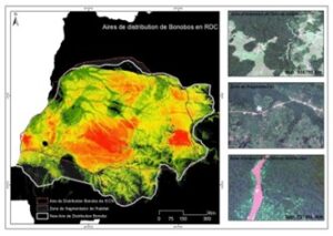 Suivi de la Biodiversité faunique