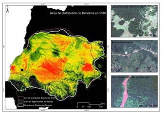 Suivi de la Biodiversité faunique GeoTech RDC